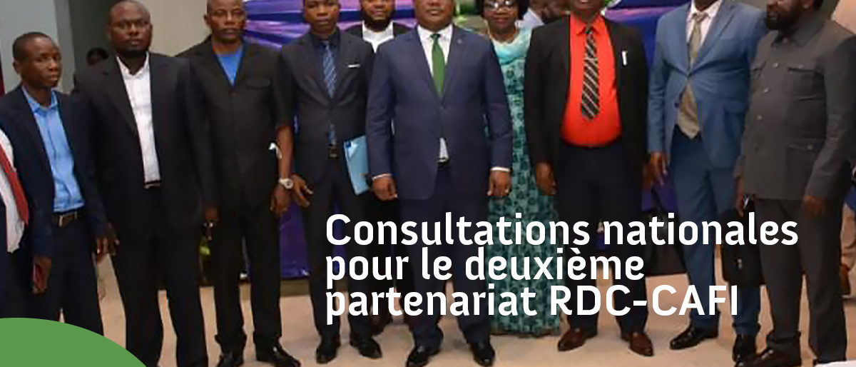 Permalien vers:CONSULTATIONS NATIONALES POUR LE DEUXIEME PARTENARIAT RDC-CAFI